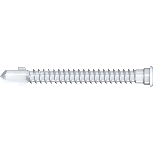 Reisser CABRI - Bi-Metall silber - Stufenkopf TX 25 - 5,5x45 - Einheitspack - inkl. 1 Bit